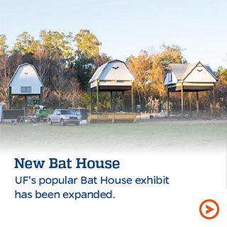 New Bat House