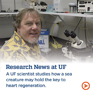 Research News at UF