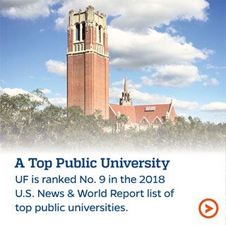 A Top Public University